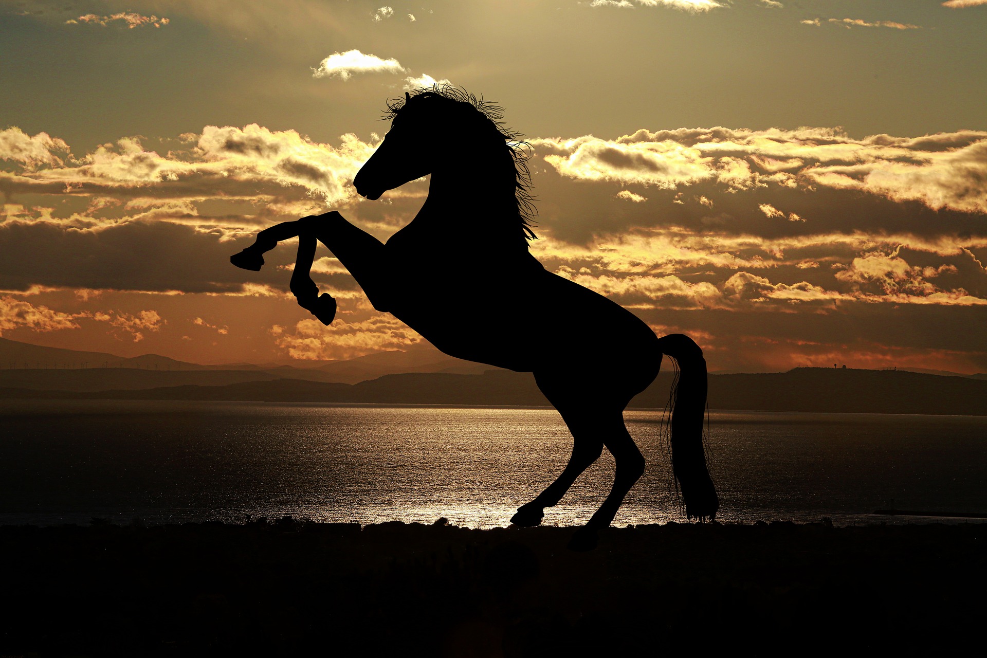 Lorem ipsum delor sit
